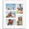 Americanflat 11x14 Collage Picture Frame - Displays (5) 4x6 Photos with Mat or (1) 11x14 Photo without Mat - Wall Gallery Decor - Shatter Resistant Glass - Hanging Hardware - White